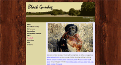 Desktop Screenshot of blackgundog.com