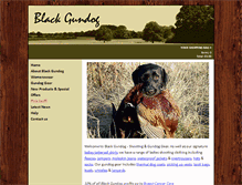 Tablet Screenshot of blackgundog.com